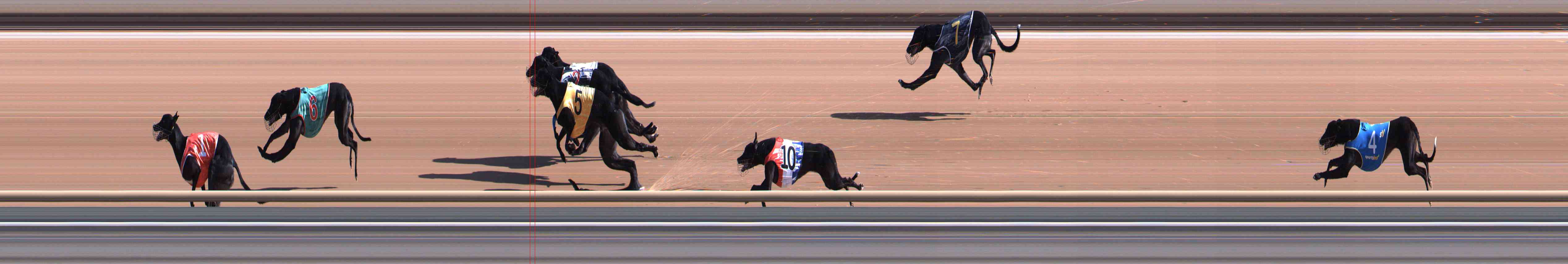 Race result finish photo